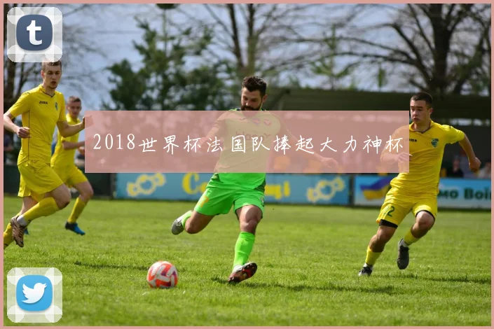 2018世界杯法国队捧起大力神杯