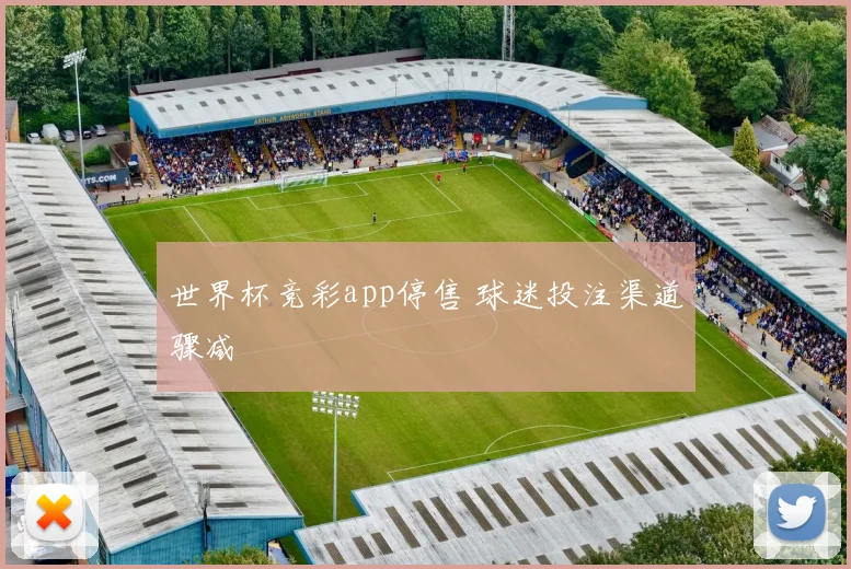 世界杯竞彩app停售 球迷投注渠道骤减