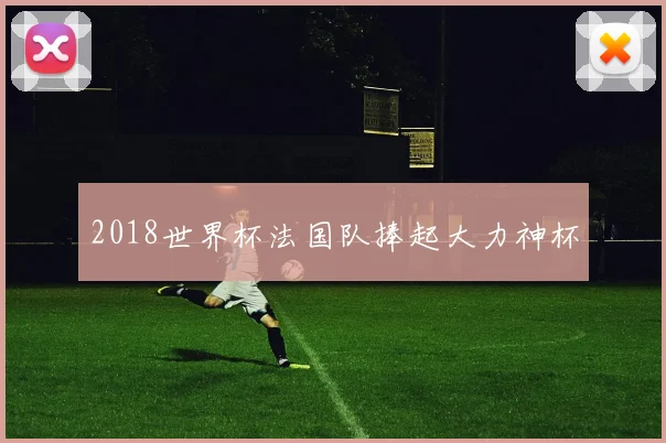 2018世界杯法国队捧起大力神杯