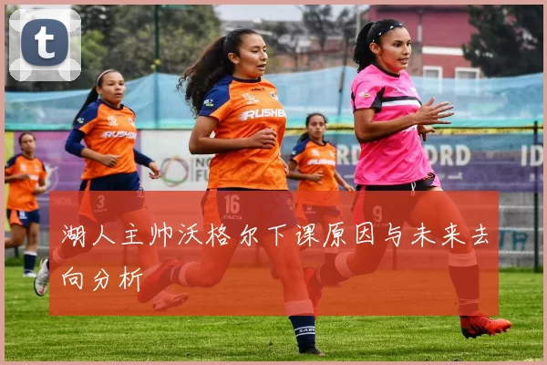 湖人主帅沃格尔下课原因与未来去向分析