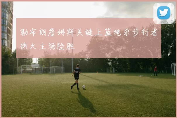 勒布朗詹姆斯关键上篮绝杀步行者热火主场险胜