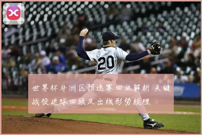 世界杯非洲区预选赛回放解析 关键战役进球回顾及出线形势梳理