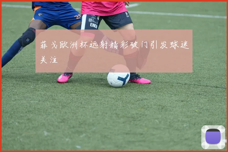 菲戈欧洲杯远射精彩破门引发球迷关注